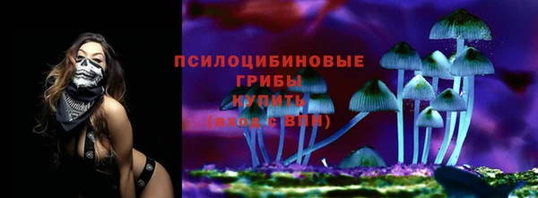 ПСИЛОЦИБИНОВЫЕ ГРИБЫ Волосово