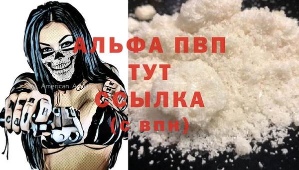 МДПВ Вяземский