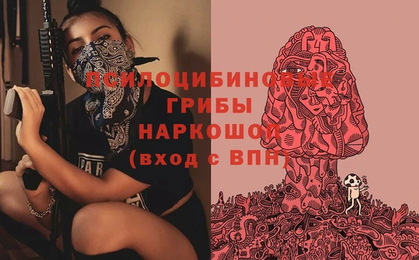 ПСИЛОЦИБИНОВЫЕ ГРИБЫ Волосово