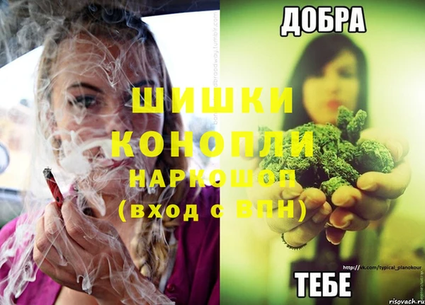 ПСИЛОЦИБИНОВЫЕ ГРИБЫ Волосово