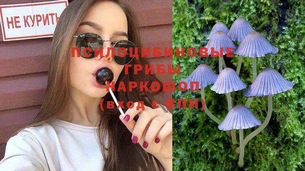 не бодяженный Семёнов