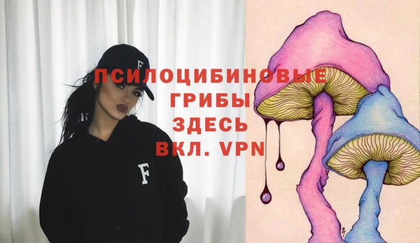 ECSTASY Семикаракорск